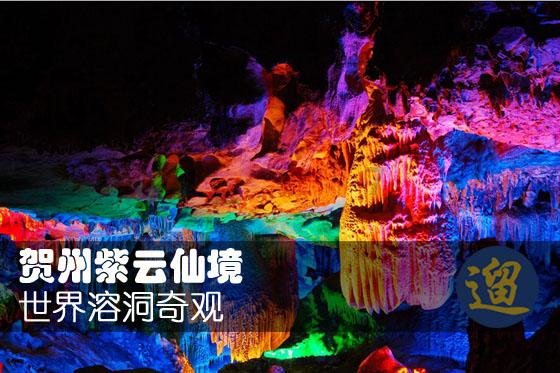 燃烧吧大脑装瓶子游戏